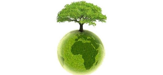 Ce reprezintă expertiza ecologică de stat a documentaţiei privind evaluarea impactului asupra mediului înconjurător?