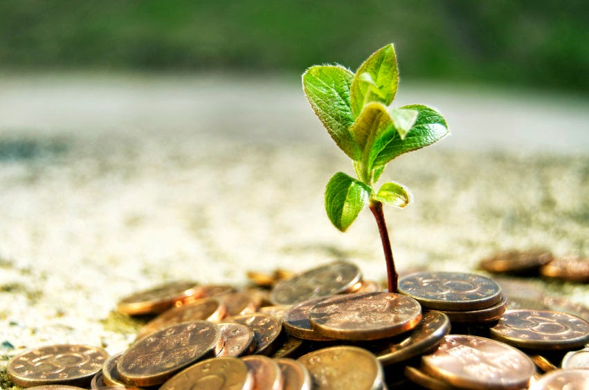 Ministerul Agriculturii caută soluţii pentru asigurările în agricultură. Doar 2% din terenuri sunt asigurate