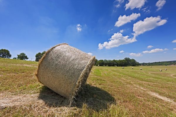 Cum poți obține un credit de 500 de mii de lei fără dobândă