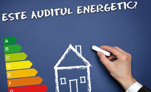 Companiile mari vor fi obligate sa efectueze auditul eficienţei energetice