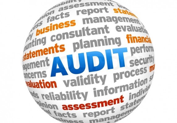 Proiect: Se propune simplificarea Normelor de audit intern