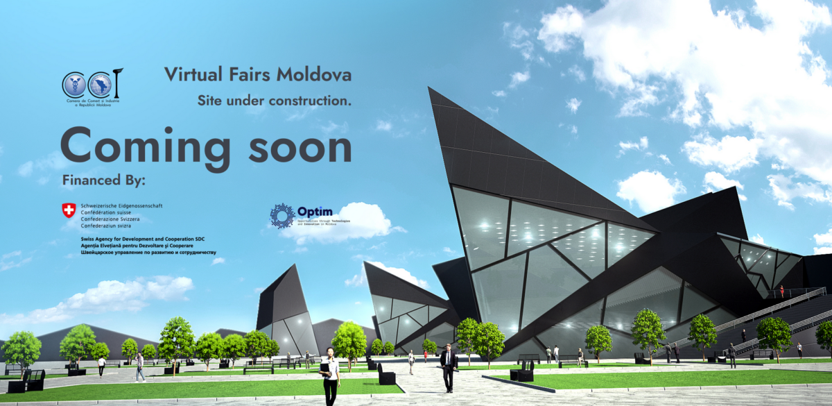 Pre-lansarea primei platforme de expoziții virtuale din Republica Moldova