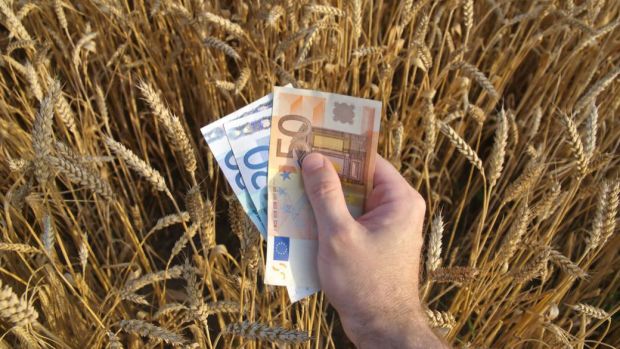 Legea cu privire la principiile subvenţionării în agricultură şi dezvoltare rurală, adoptată în prima lectură de Parlament