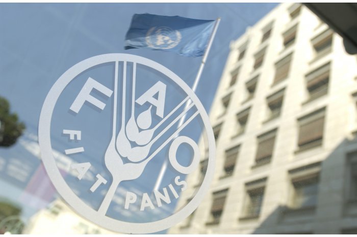 Un raport FAO propune soluţii pentru sectorul agrar autohton