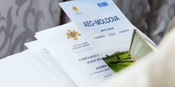 Concluziile campaniei de comunicare despre avantajele Agenților Economici Autorizați (AEO)