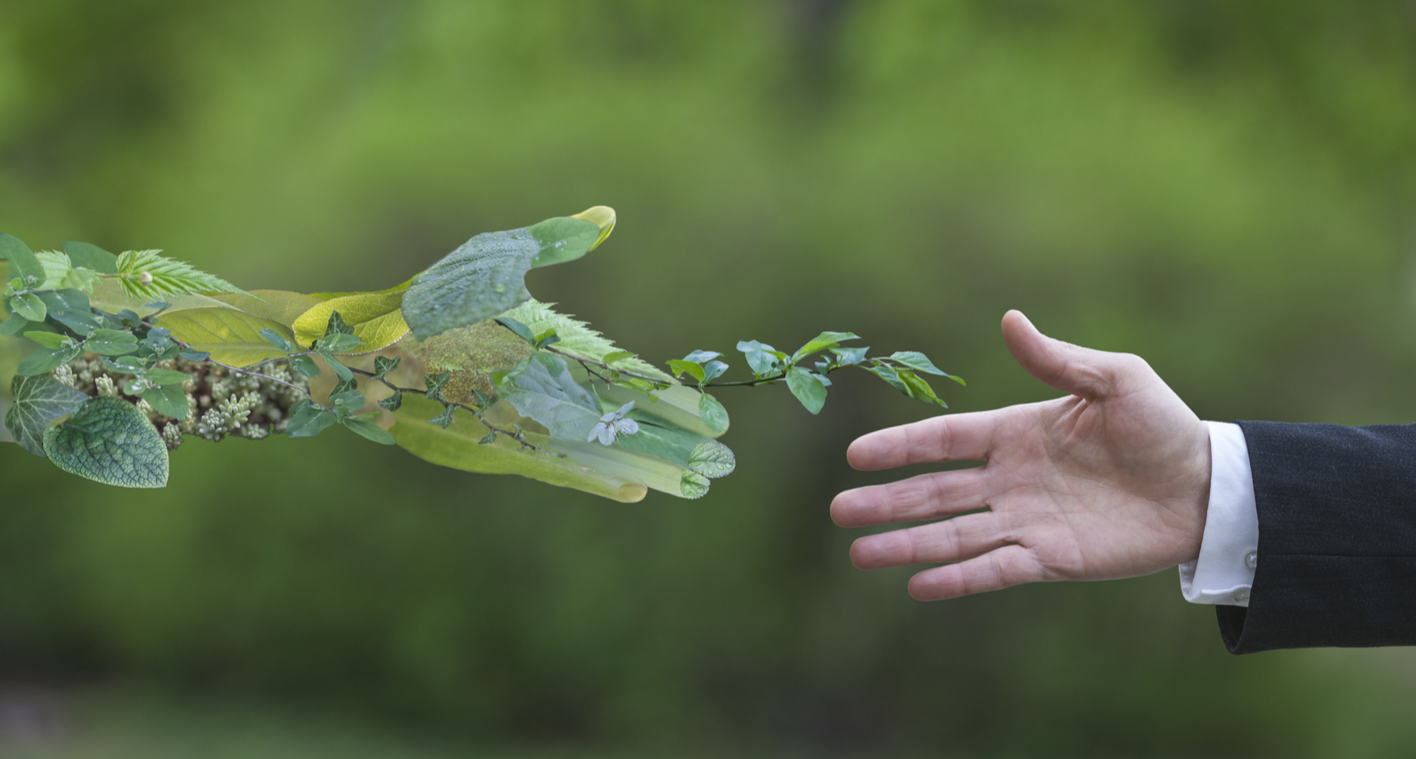 Secretari de stat își coordonează acțiunile în domeniul dezvoltării durabile și a tranziției verde