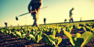 UE promite sprijin pentru dezvoltarea sectorului agricol din Moldova