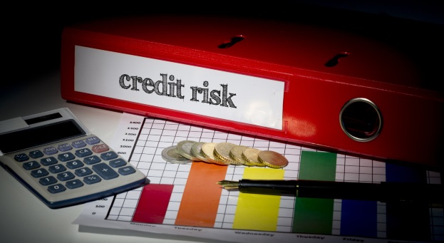 Registrul riscurilor de credit - în exploatare experimentală. Va derula 40 de zile