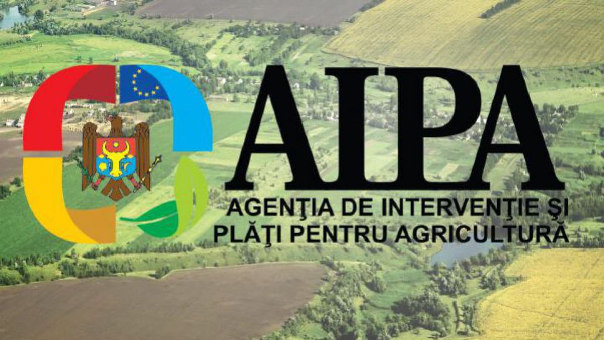 AIPA a reluat procesul de autorizare a cererilor recepționate în anul 2020