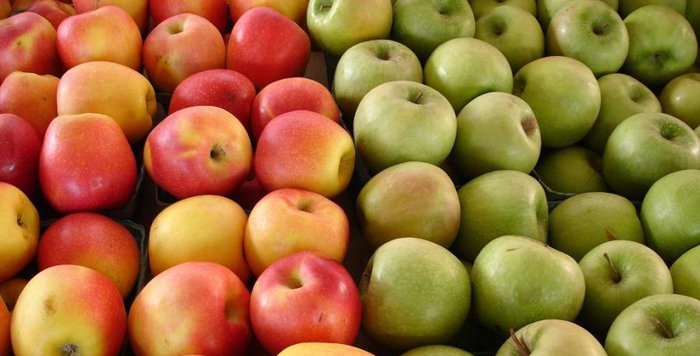 Datoriile pentru compensaţii la fructe au fost achitate integral