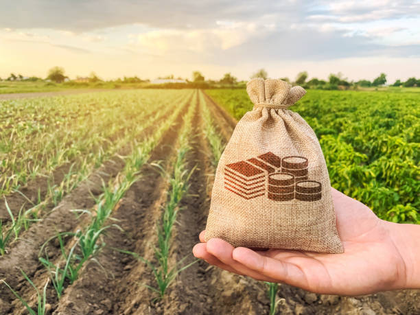 Finanțările acordate agricultorilor moldoveni de către Banca Europeană de Investiții au crescut de patru ori, în 2020