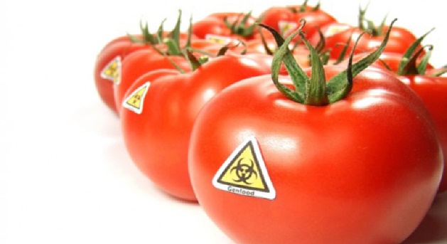 Din 2018 ar putea fi interzis importul de produse modificate genetic