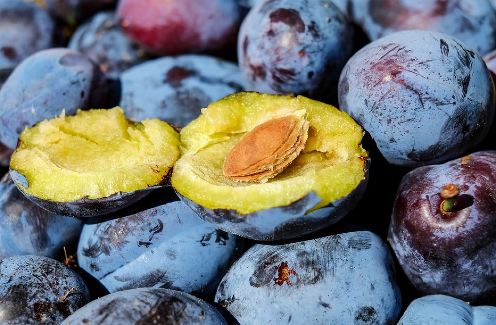 În atenția producătorilor și exportatorilor de prune și struguri! USAID acordă granturi