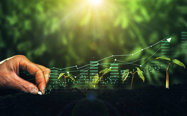Regulamentul privind rambursarea TVA pentru producătorii agricoli a fost actualizat