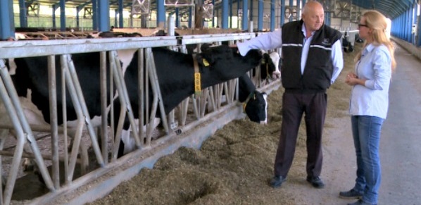 Lege nouă şi probleme vechi. Agricultorii vor primi subvenţii în baza unei noi legi, începând cu anul 2017