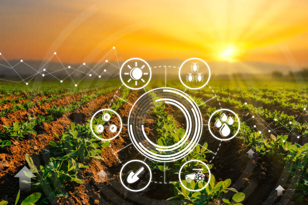 Subvenționarea în agricultură va fi reglementată de o lege nouă