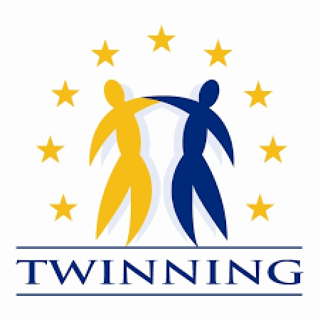 Progresele înregistrate în cadrul proiectului Twinning, prezentate la Reuniunea Comitetului de Supraveghere
