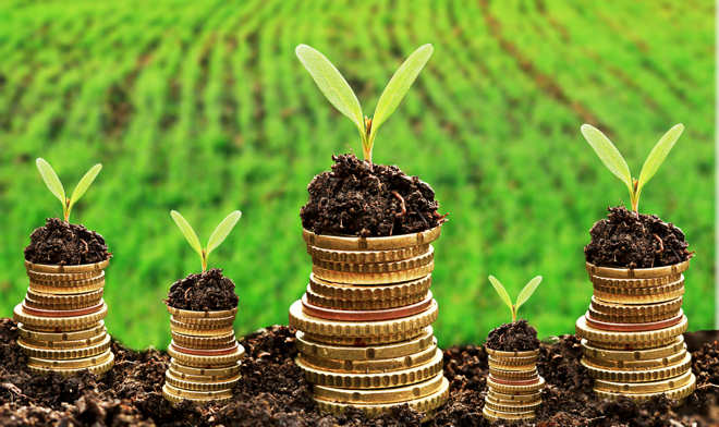 Agricultorii vor beneficia de mai multe mijloace alocate din Fondul de subvenţionare