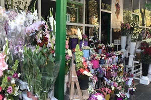 SFS va demara controale fiscale operative la comercianții de flori