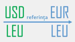 Moneda de referință pentru stabilirea cursului oficial al leului moldovenesc va fi euro