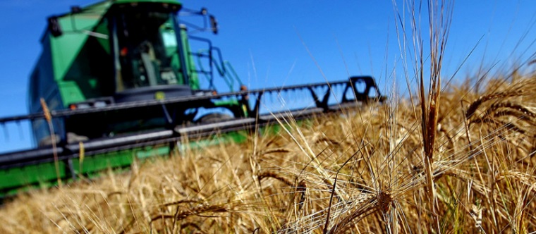 În Moldova a fost adoptată Legea cu privire la principiile subvenționării în agricultură
