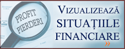 Lansarea Serviciului de vizualizare a principalilor indicatori din situațiile financiare