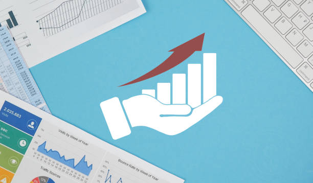 Analiza subscrierilor prin platforma eVMS.md și profilul investitorilor