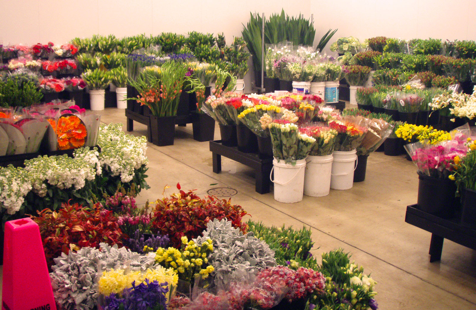 SFS desfășoară acțiuni de conformare fiscală a comercianților de flori