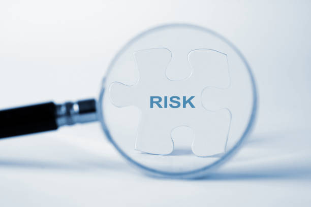 Serviciul Fiscal de Stat a actualizat Registrul riscurilor