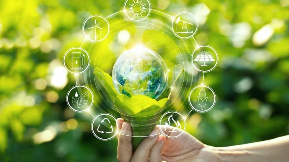 Noi afaceri, asistate în implementarea acțiunilor de ecologizare