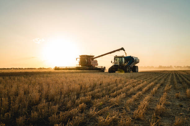 Noi reguli privind rambursarea TVA pentru fermieri