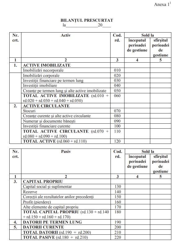 Situații financiare prescurtate. Ce prevederi au fost incluse în SNC