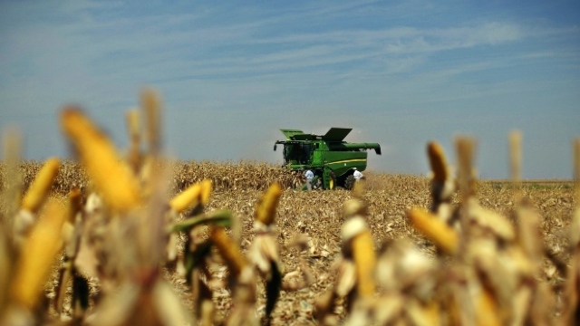 Doar 30% dintre agricultori vor primi subvenții pe anul 2016. Motivul