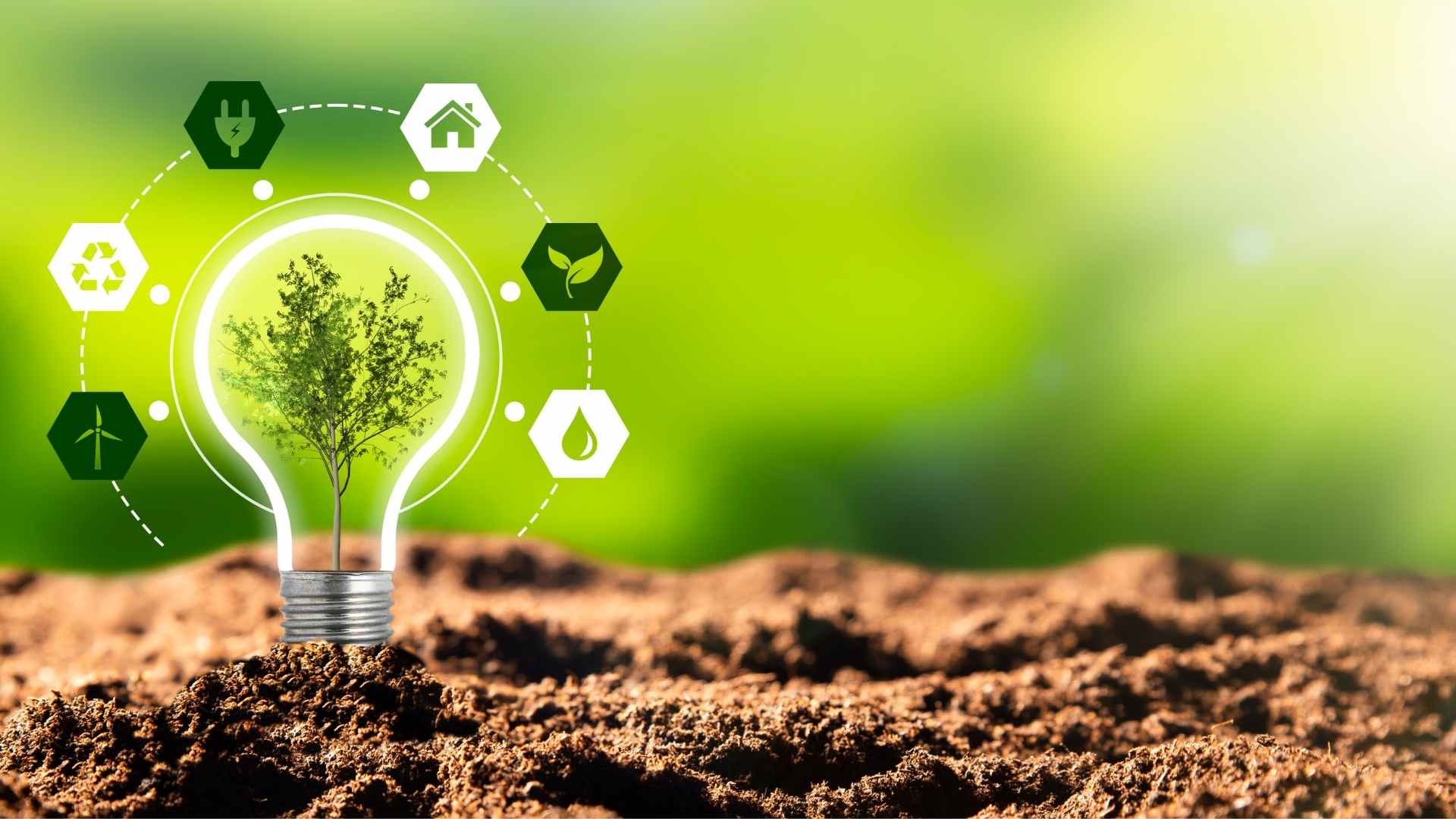 Eco-inovarea – soluție sustenabilă pentru IMM-urile din Republica Moldova