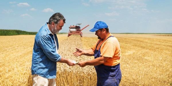 Cuantumul minim al plății anuale pentru arenda terenurilor agricole va fi exclus