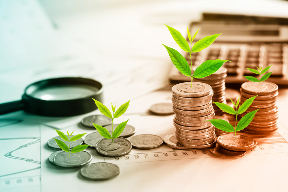 Un nou program de sprijin pentru micii producători