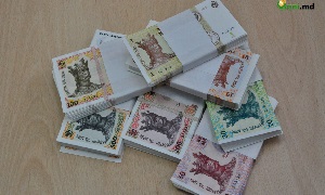 Investițiile în active materiale pe termen lung s-au redus cu aproape 14%