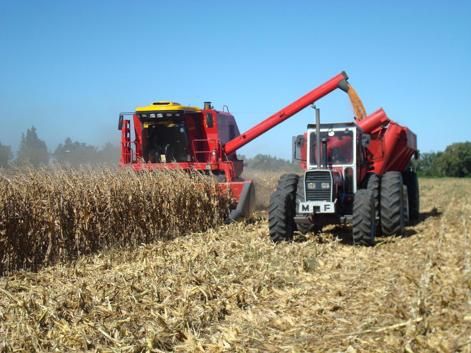 Statistica producției globale agricole în ianuarie-septembrie 2019