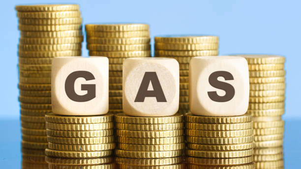 Au fost aprobate modificările la Codul fiscal pentru armonizarea regimului TVA aplicabil importurilor și livrărilor de gaze naturale și energie electrică