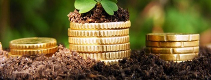 AIPA a prezentat rezultatele subvenționării agricultorilor pentru anul 2016