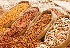 Moldova a obţinut dreptul de a exporta seminţe în toate ţările Uniunii Europene