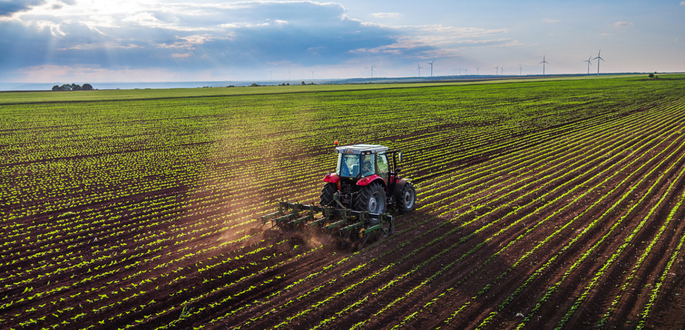 Regulamentul privind rambursarea TVA pentru producătorii agricoli va fi ajustat