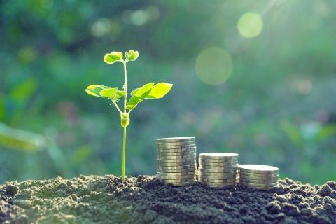 22 de proiecte agricole Start-up vor beneficia de finanțare de la stat