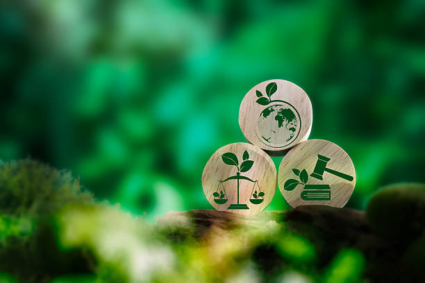 Plata pentru emisiile de poluanți în atmosferă și prezentarea EMPOLDEP19