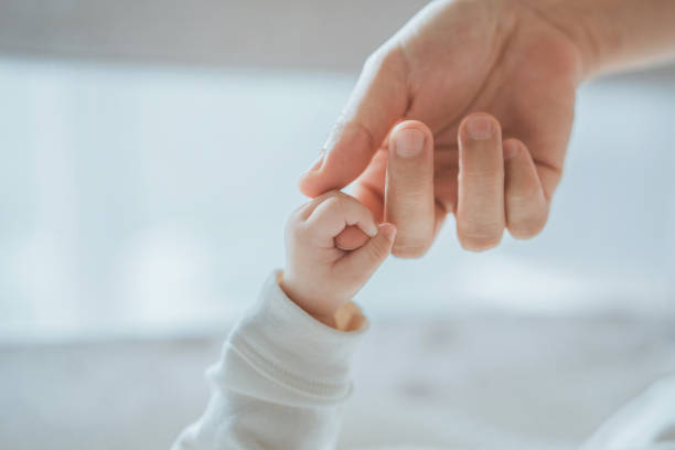 Perioadele pentru care se acordă indemnizațiile de maternitate și paternală, incluse în stagiul de cotizare
