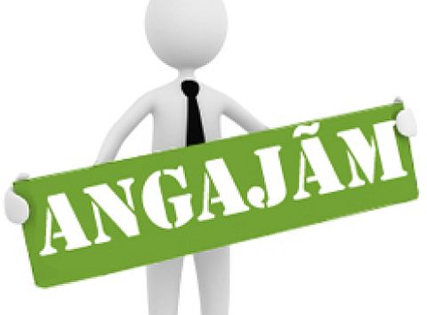 Comunicat privind organizarea Forului meseriilor/profesiilor şi a Târgului locurilor de muncă pentru Tineret