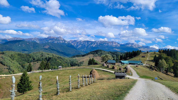 Tichetele de vacanță - discutate în cadrul unei ședințe la Ministerul Finanțelor