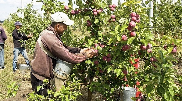Ce suport financiar vor primi fermierii afectaţi de calamităţile naturale