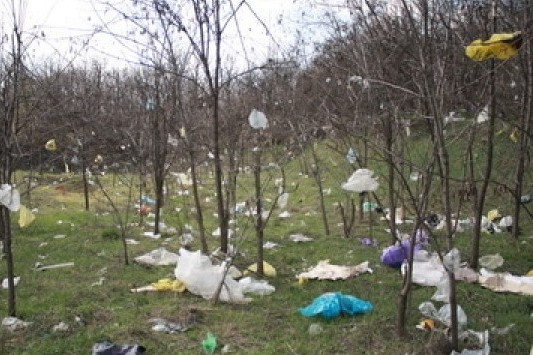 Plata pentru poluarea mediului. Cum se declară și care este termenul de achitare