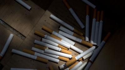 Serviciul Fiscal de Stat a asigurat distrugerea a peste un milion de pachete de produse din tutun confiscate